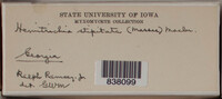Image Associated With the Occurence